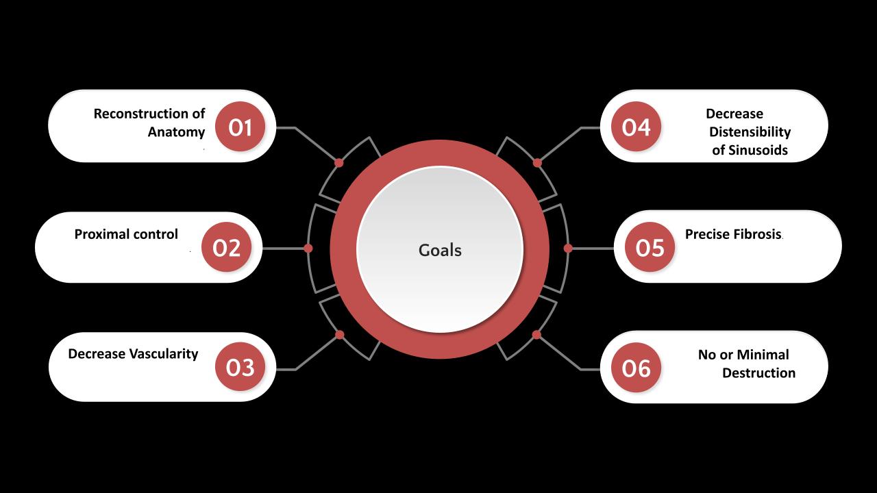 14 Goals.pptx.jpg